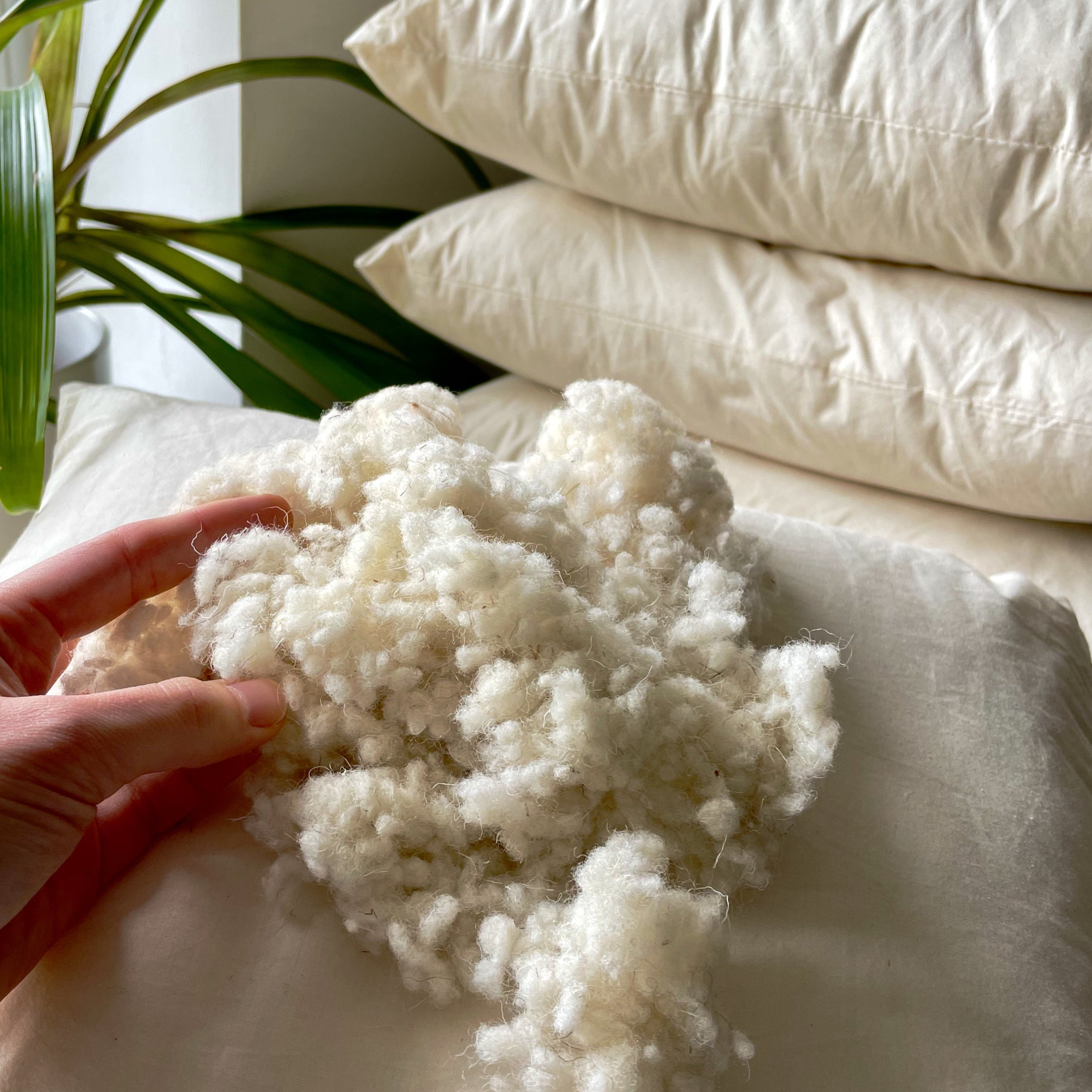 A person's hand holding a clump of white wool insert padding, with a cushion and pillows in the background.